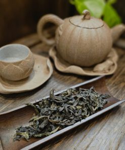 Đại hồng bào 1