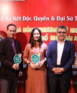 Tin Tức