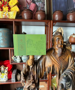 Chưa phân loại