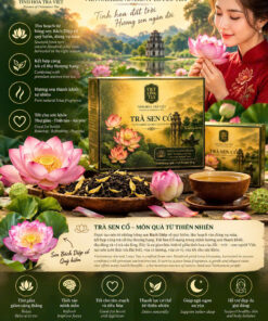 #vietLinkTea